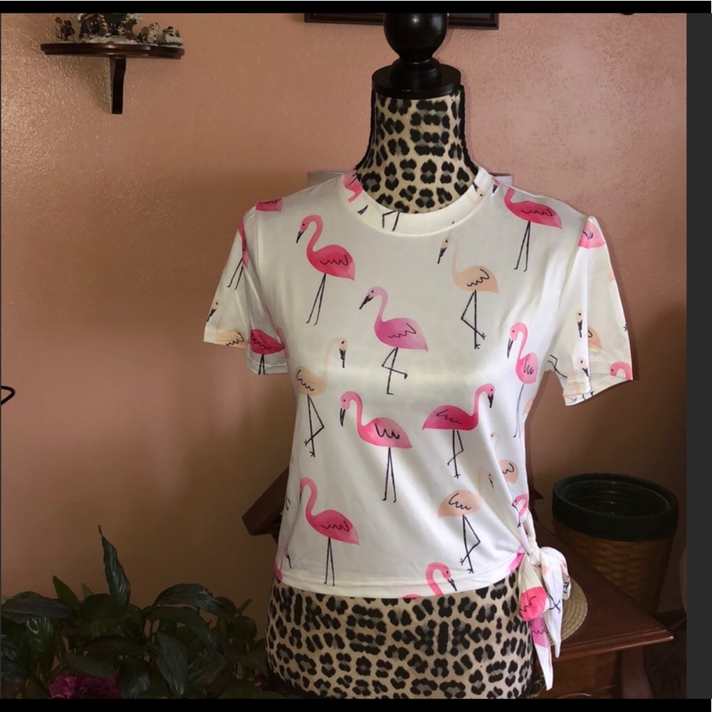 Wila 🦩🦩Crop Top